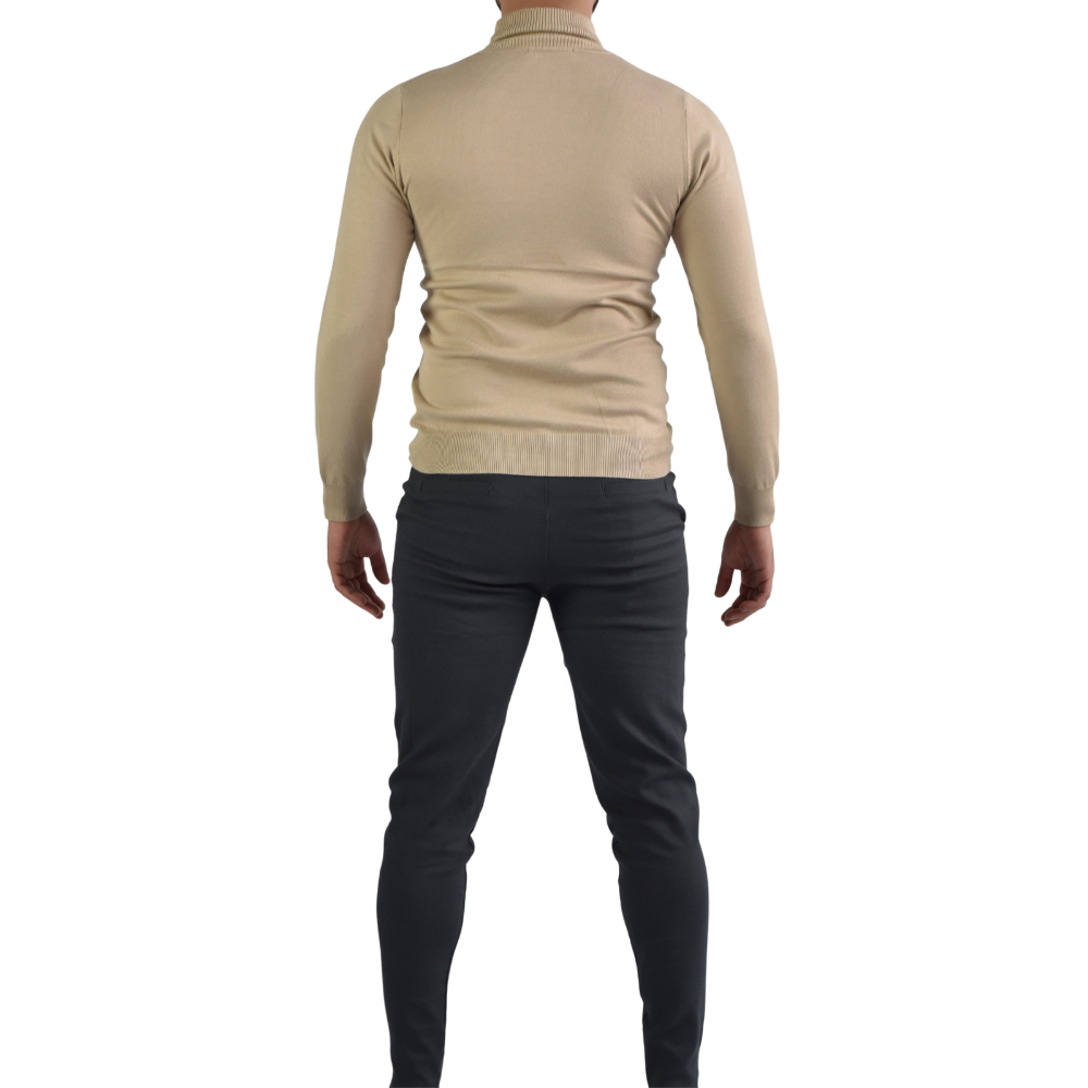 Turtleneck Wool in Beige